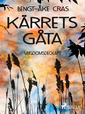 cover image of Kärrets gåta